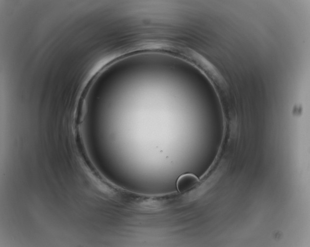 X0000096731178200802051432