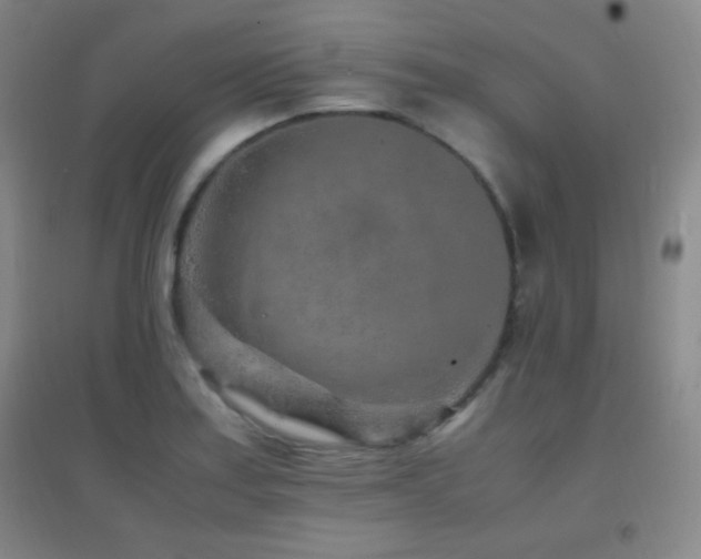 X0000096731179200802051432
