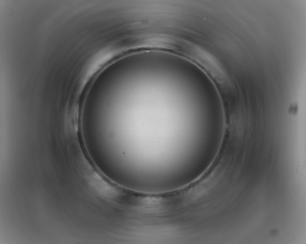 X0000096731180200802051432