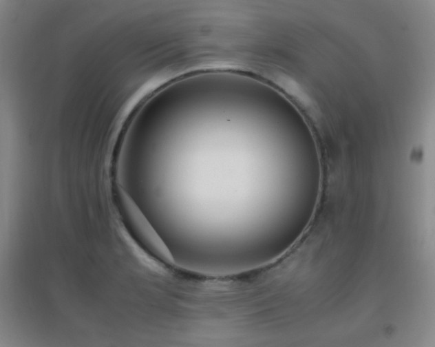X0000096731181200802051432