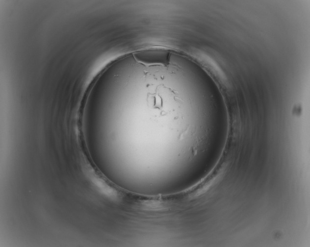 X0000096731182200802051432