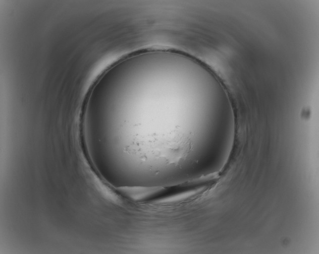 X0000096731183200802051432