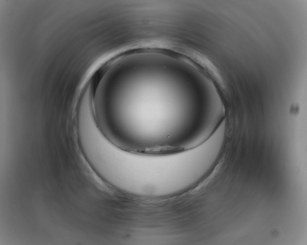 X0000096731184200802051432