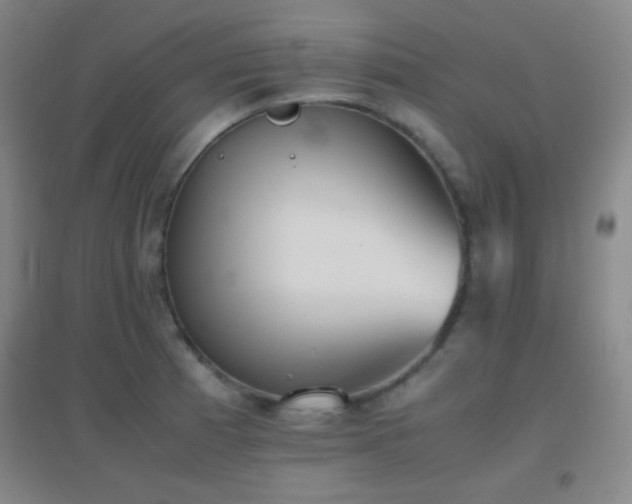 X0000096731185200802051432