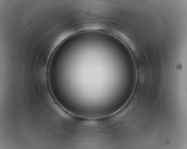 X0000096731186200802051432