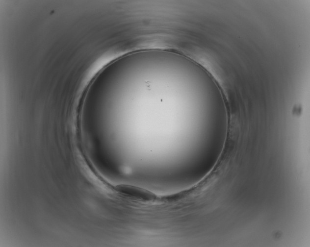 X0000096731187200802051432