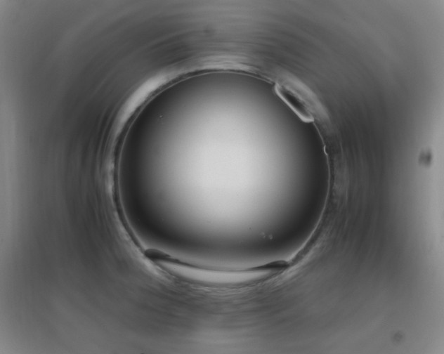 X0000096731188200802051432