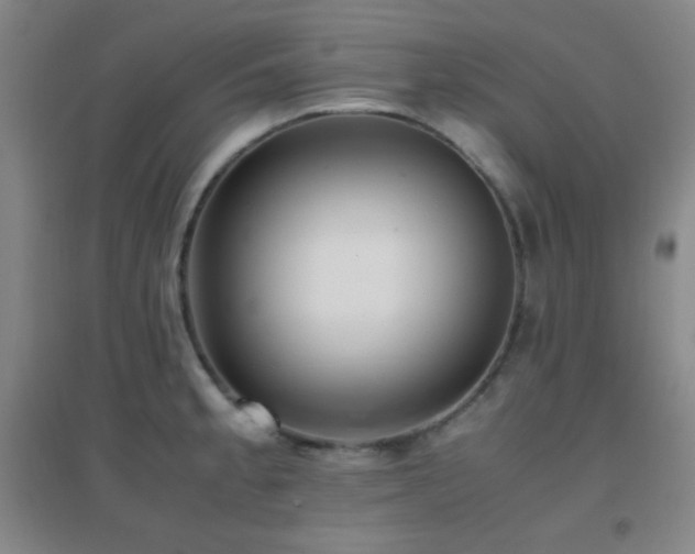 X0000096731189200802051432