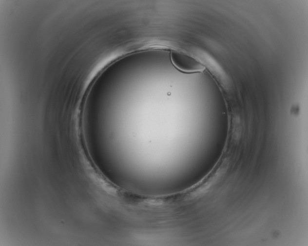X0000096731190200802051432