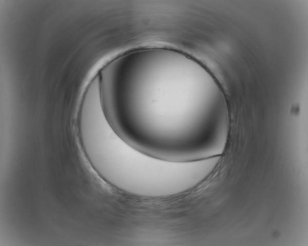 X0000096731191200802051432