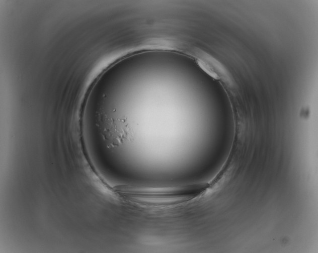 X0000096731192200802051432