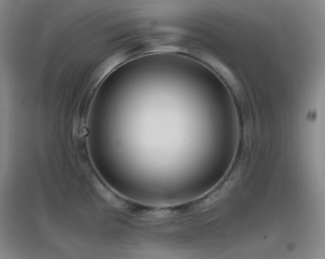 X0000096731193200802051432