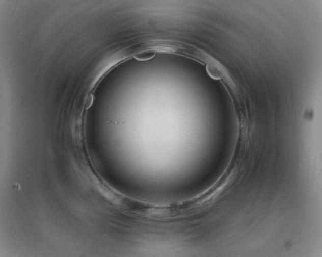 X0000096731194200802051432