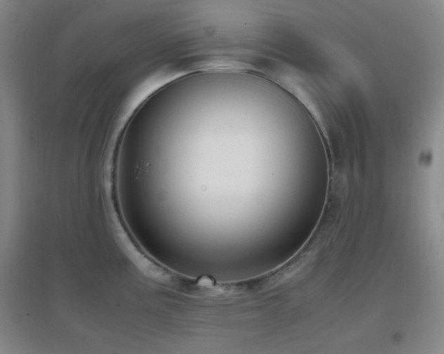 X0000096731195200802051432