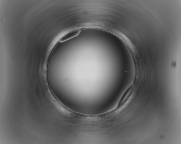 X0000096731196200802051432