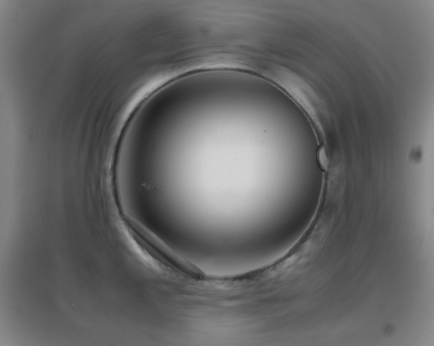 X0000096731197200802051432