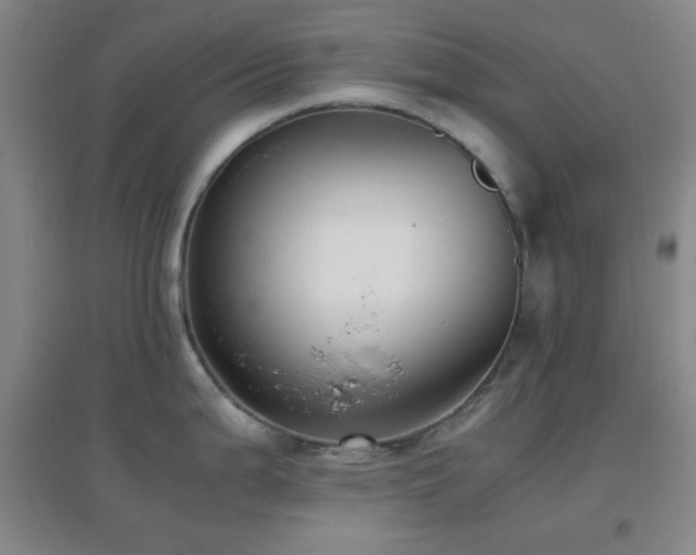 X0000096731199200802051432