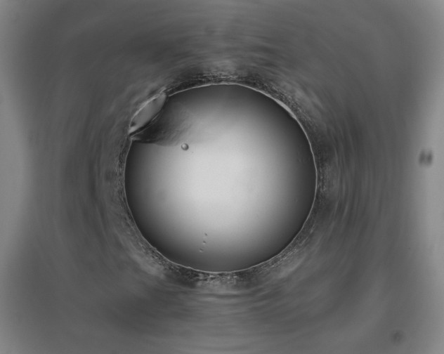 X0000096731201200802051431