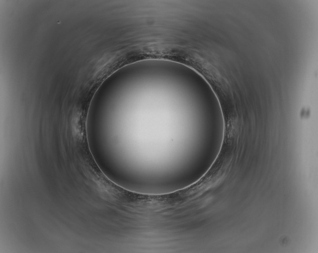 X0000096731202200802051431
