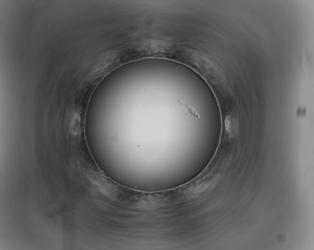 X0000096731203200802051431