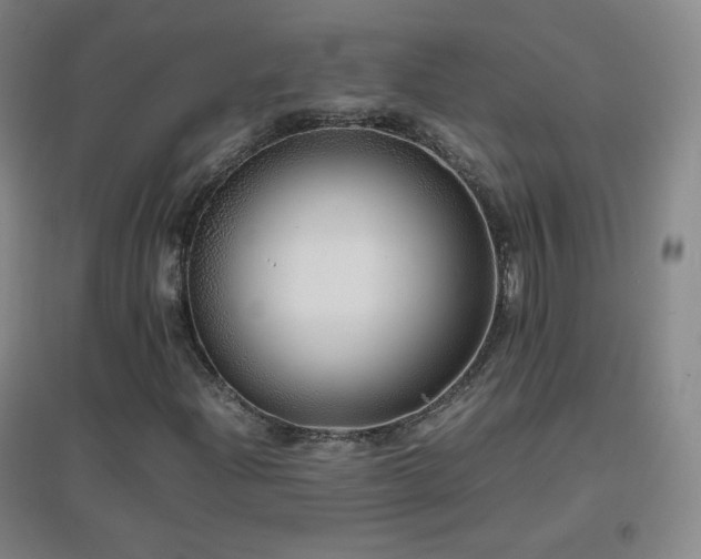 X0000096731204200802051431