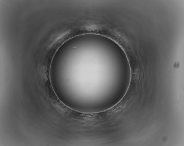 X0000096731205200802051431