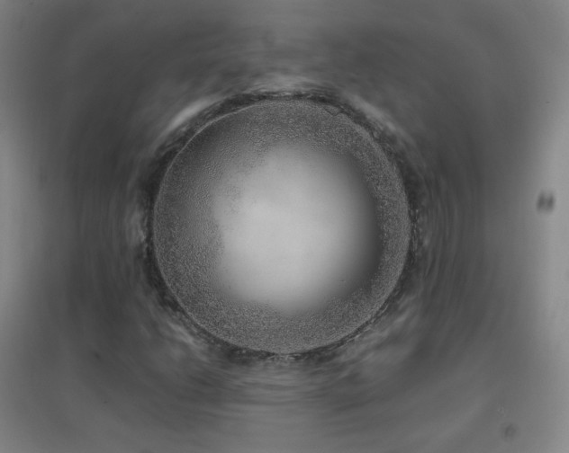 X0000096731206200802051431