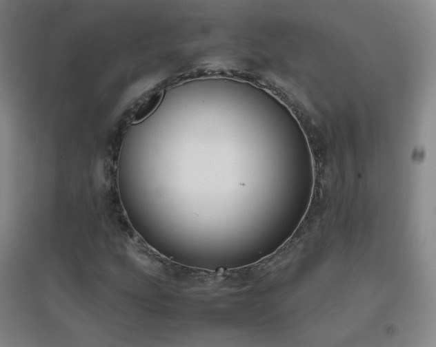 X0000096731207200802051431