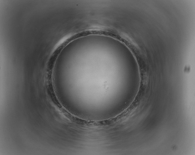 X0000096731208200802051431