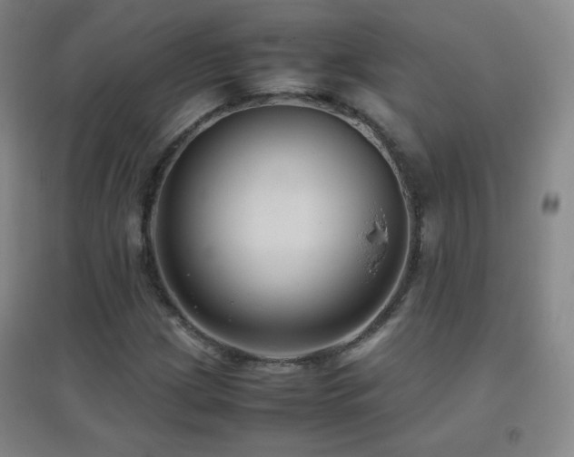 X0000096731209200802051431