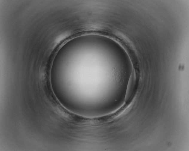 X0000096731210200802051431
