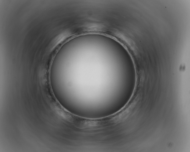 X0000096731211200802051431