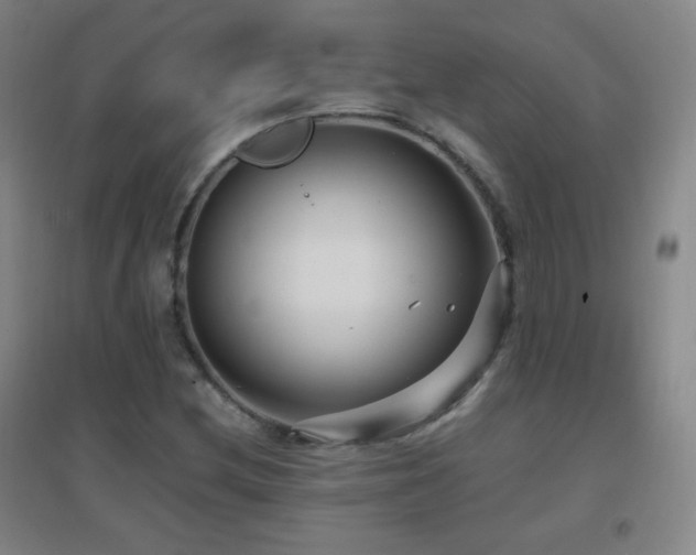 X0000096731212200802051431