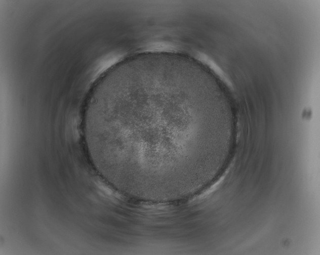 X0000096731213200802051431