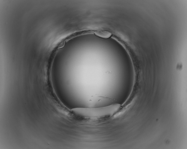 X0000096731214200802051431