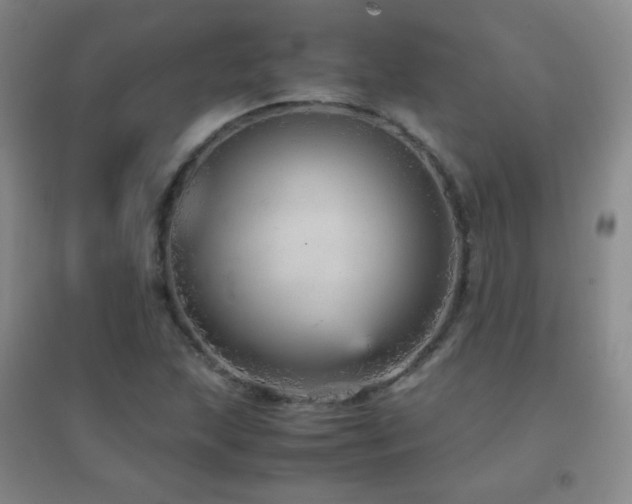X0000096731215200802051432