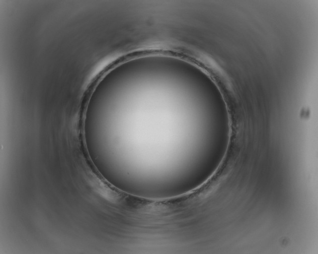 X0000096731216200802051432