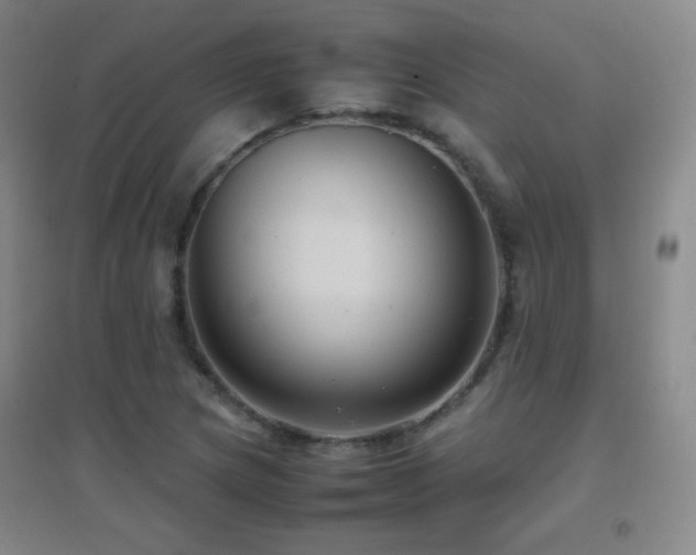 X0000096731217200802051432