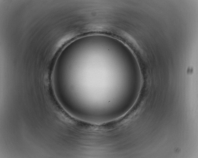 X0000096731218200802051432