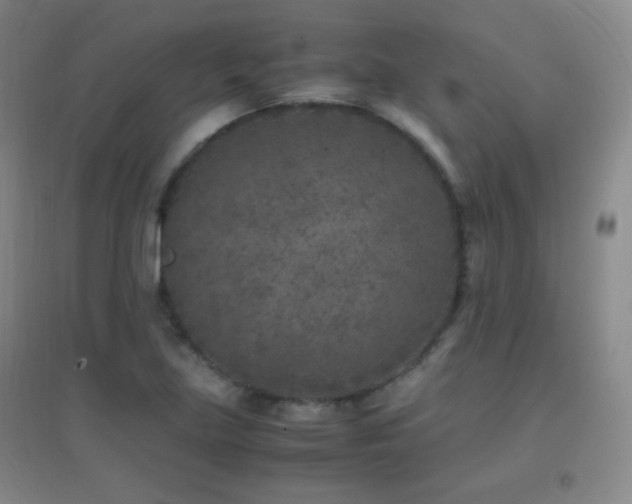 X0000096731219200802051432