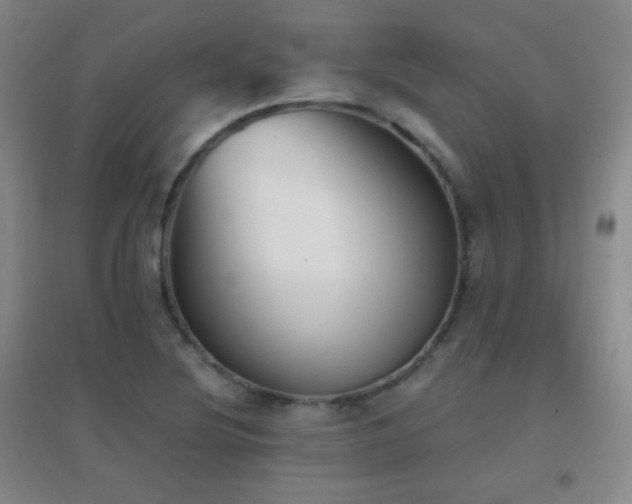 X0000096731220200802051432