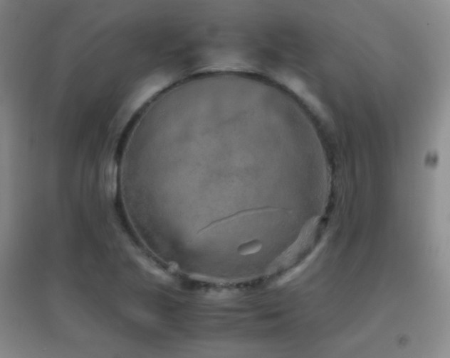 X0000096731221200802051432