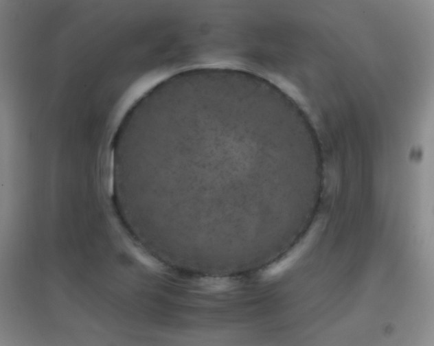 X0000096731223200802051432