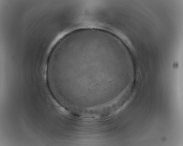 X0000096731224200802051432