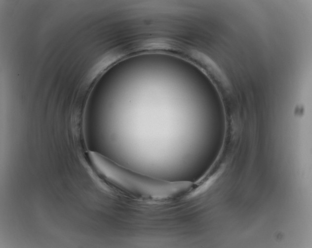 X0000096731225200802051432