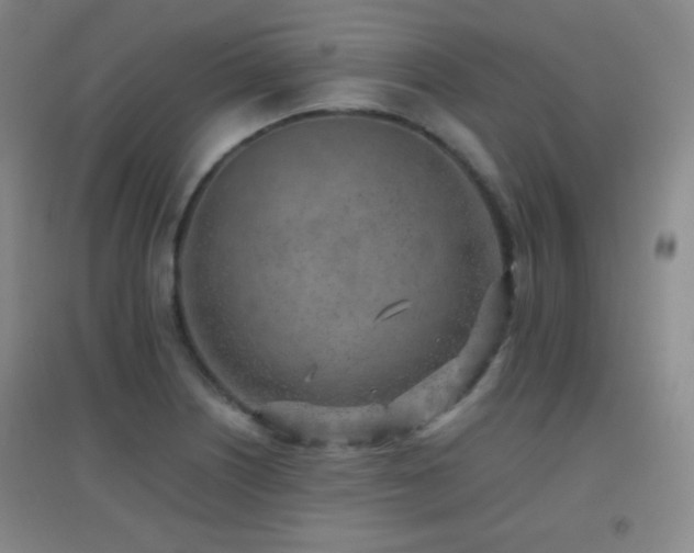 X0000096731226200802051432