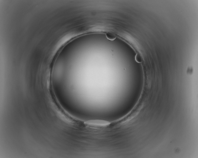X0000096731227200802051432