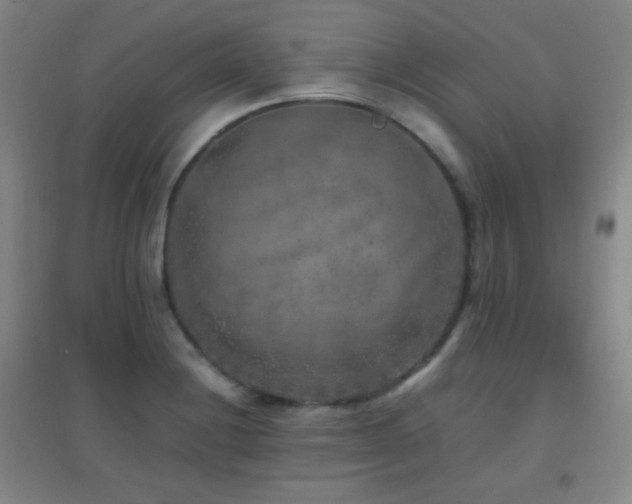 X0000096731228200802051432