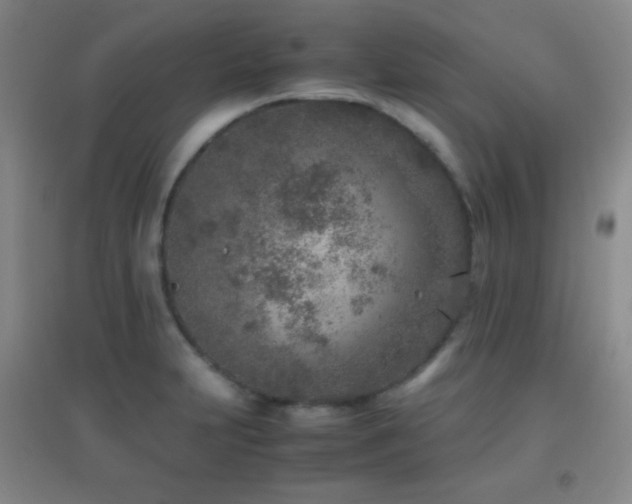 X0000096731231200802051432