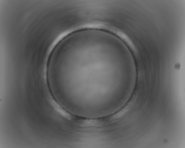 X0000096731232200802051432